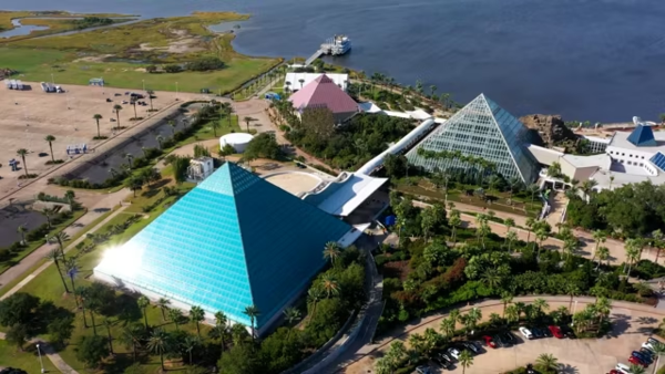 moody gardens in Galveston